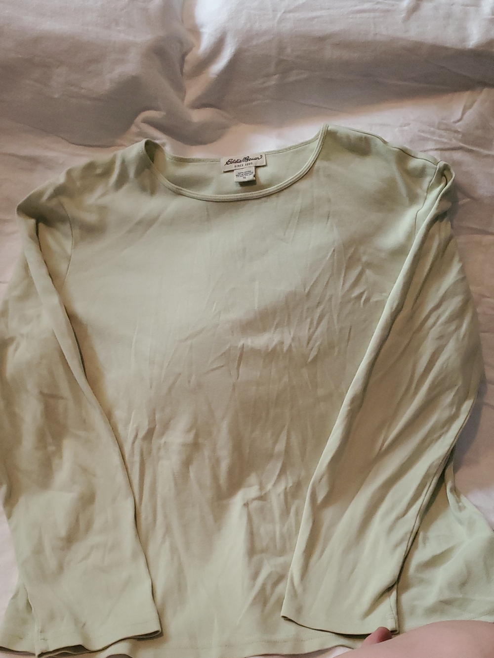 Eddie Bauer Long Sleeve Crew Neck Tee in Light Sage Green